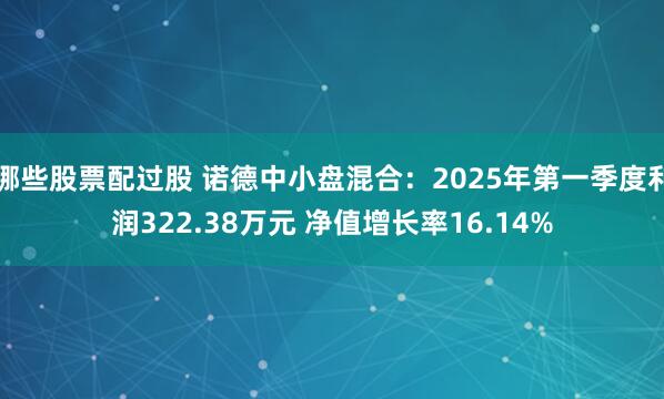 哪些股票配过股 诺德中小盘混合：2025年第一季度利润322.38万元 净值增长率16.14%