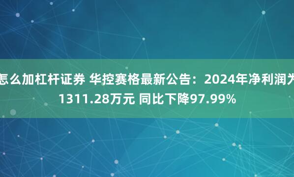 怎么加杠杆证券 华控赛格最新公告：2024年净利润为1311.28万元 同比下降97.99%