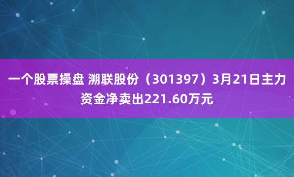 一个股票操盘 溯联股份（301397）3月21日主力资金净卖出221.60万元