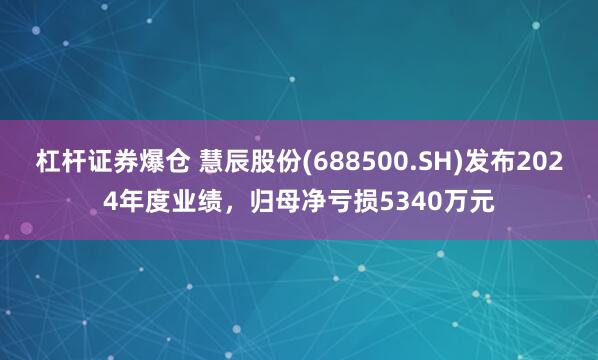 杠杆证券爆仓 慧辰股份(688500.SH)发布2024年度业绩，归母净亏损5340万元