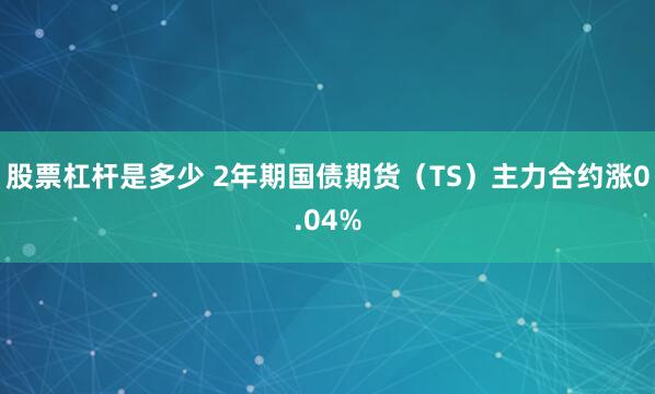 股票杠杆是多少 2年期国债期货（TS）主力合约涨0.04%