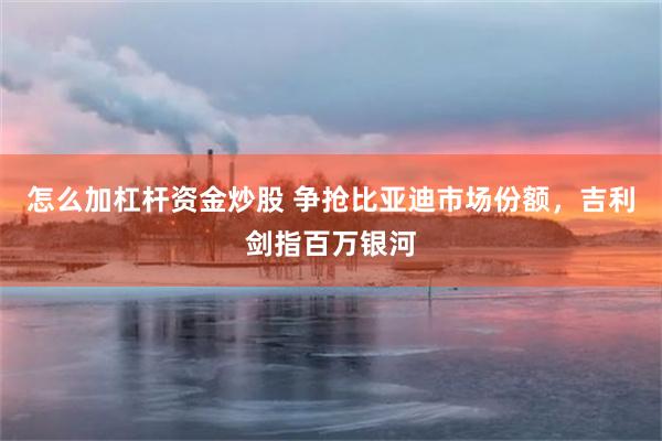 怎么加杠杆资金炒股 争抢比亚迪市场份额，吉利剑指百万银河